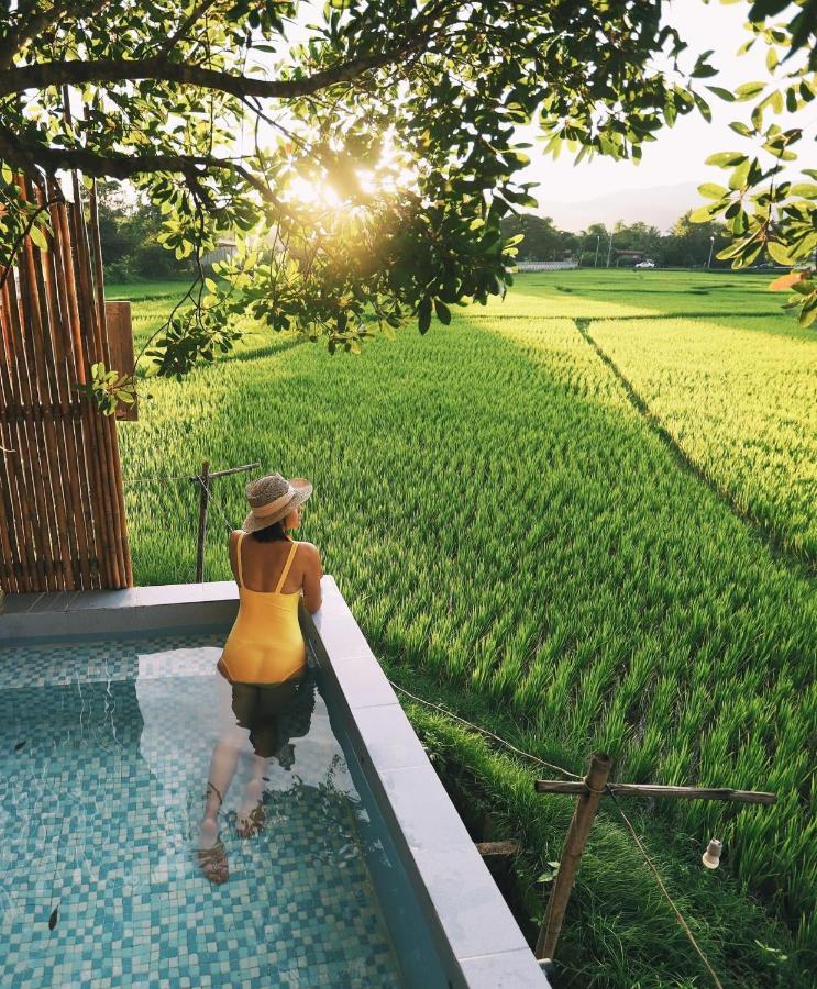 Tung Homestay And View ในเมืองน่าน Ngoại thất bức ảnh